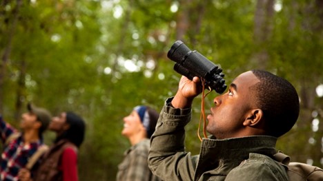 Best Binoculars in Sri Lanka for Wildlife Safari, Bird Watching, Travel, and Outdoor Adventures Best Binoculars in Sri Lanka for Wildlife Safari, Bird Watching, Travel, and Outdoor Adventures